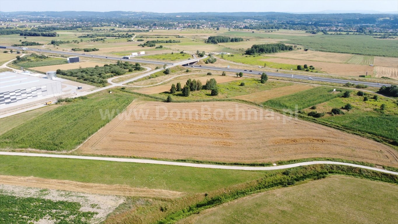 Działka przemysłowo-handlowa na sprzedaż Krzeczów  33 222m2 Foto 7