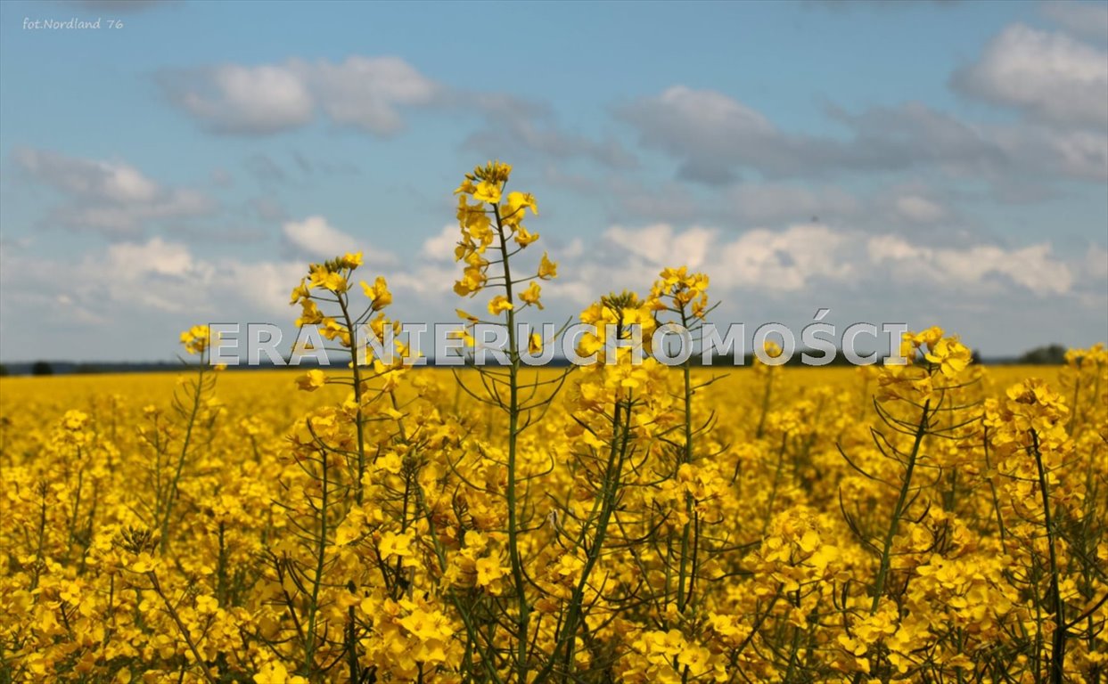 Działki budowlane w Henrykowie, 1470 m², blisko miasta Henrykowo, Szafirowa  1 470m2 Foto 1