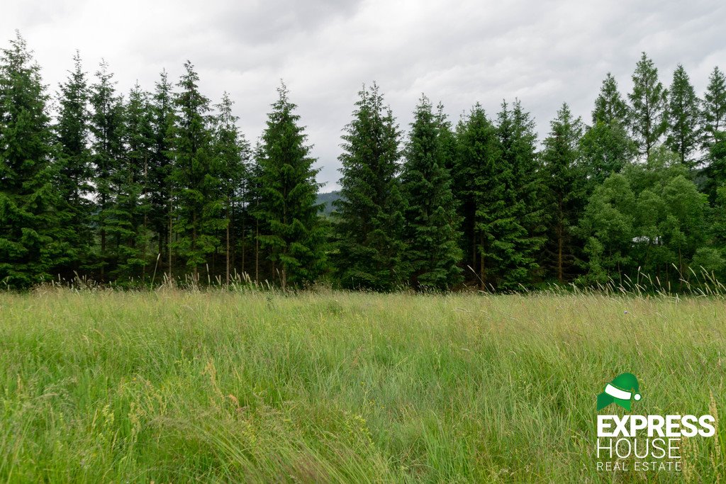 Działka budowlana na sprzedaż Stronie Śląskie  4 069m2 Foto 5