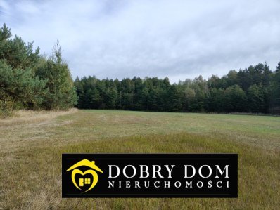 Działka rolna na sprzedaż Folwarki Wielkie  29 100m2 Foto 16