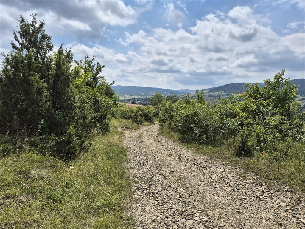 Działka rolna na sprzedaż Posada Jaśliska  9 300m2 Foto 14