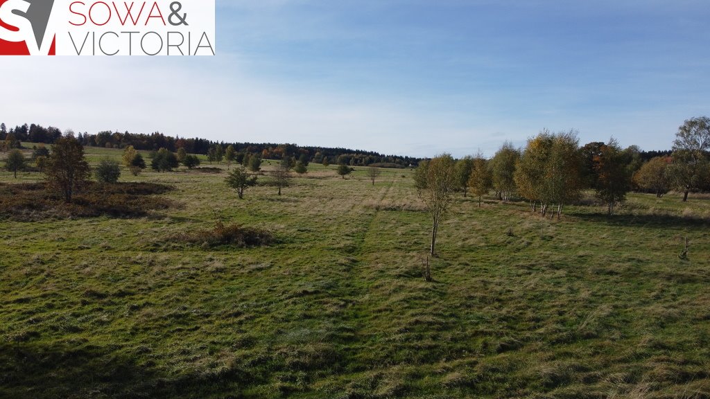 Działka budowlana na sprzedaż Pobiedna  1 100m2 Foto 5