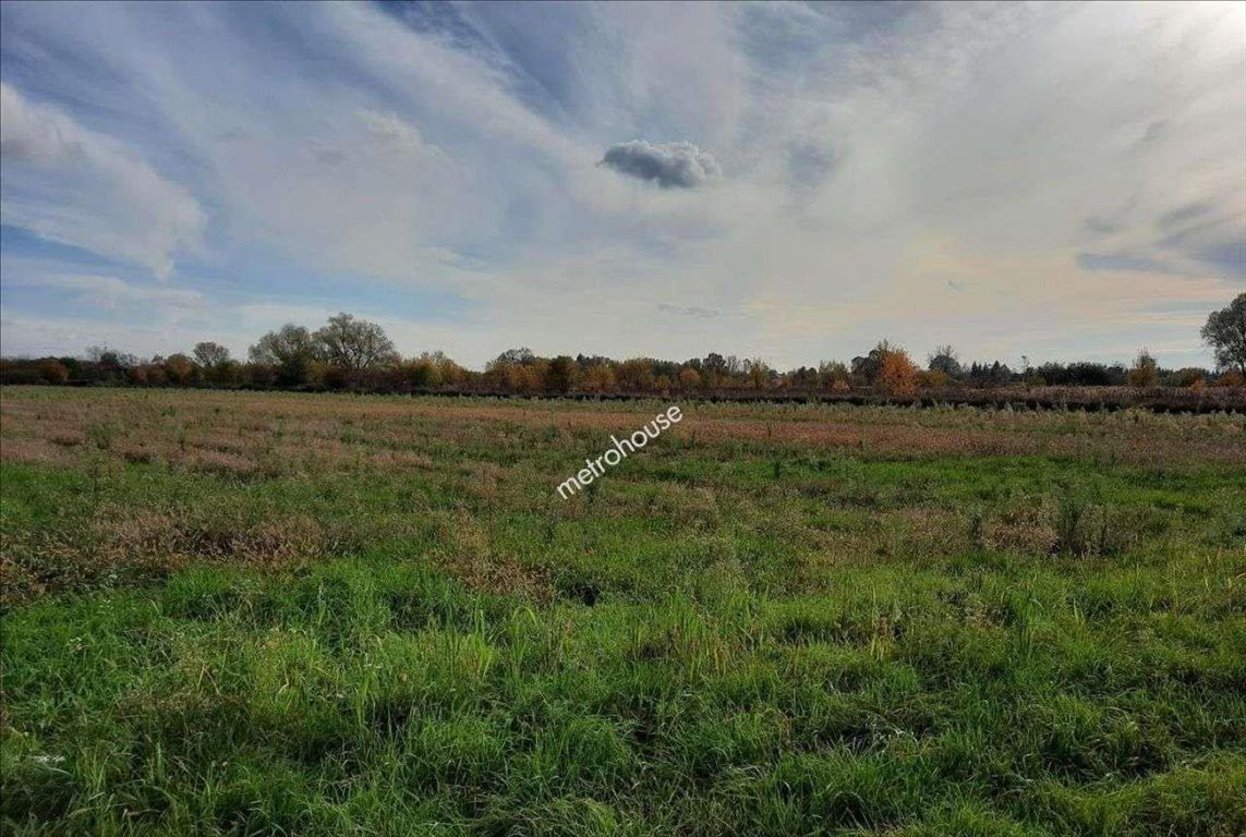 Działka inwestycyjna na sprzedaż Warszawa, Wilanów  8 000m2 Foto 3