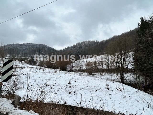 Działka budowlana na sprzedaż Grzmiąca, Wiejska  1 860m2 Foto 5