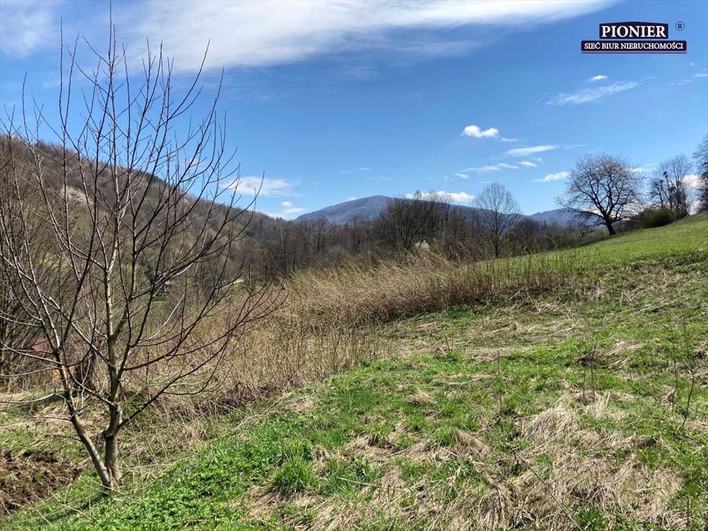 Działka budowlana na sprzedaż Goleszów  1 700m2 Foto 1