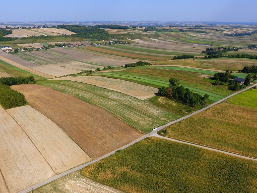 Działka rolna na sprzedaż Racławice  11 100m2 Foto 9