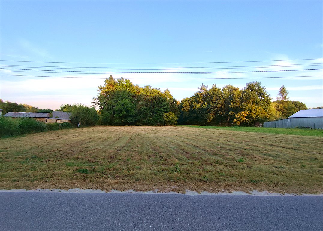 Działka budowlana na sprzedaż Kazimierz Dolny  2 670m2 Foto 2