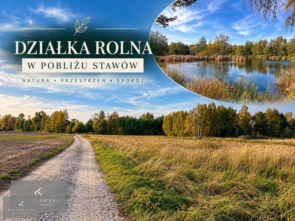 Działka rolna 7169 m² w Nowej Wsi - dostęp do drogi i staw Nowa Wieś  7 169m2 Foto 1