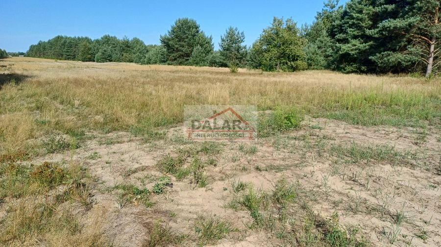 Działka budowlana na sprzedaż Grabów nad Pilicą, Lipinki  1 200m2 Foto 15