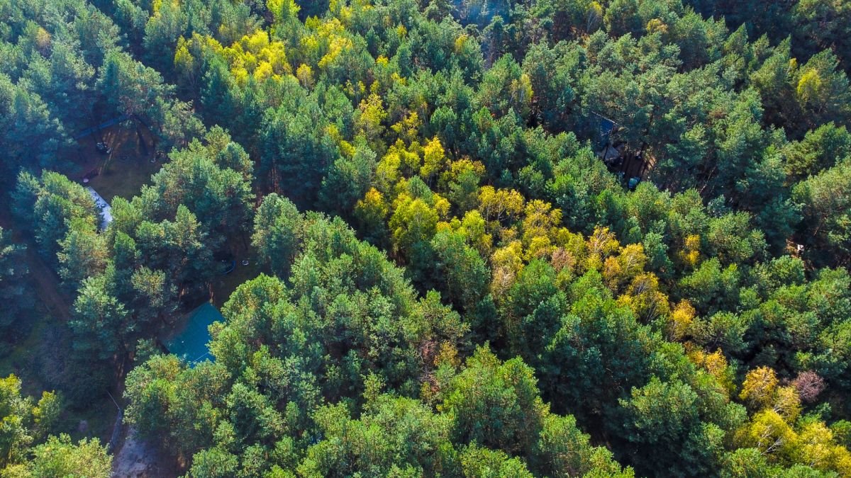 Działka budowlana na sprzedaż Basinów  972m2 Foto 4