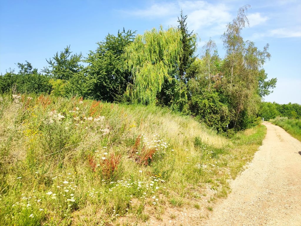 Działka inna na sprzedaż Dobromierz  1 794m2 Foto 4