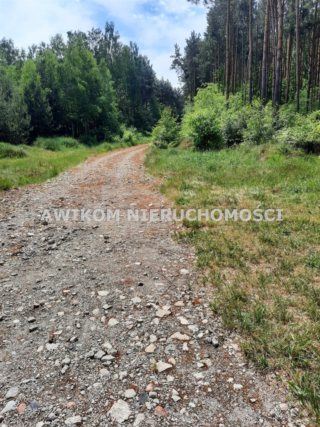 Działka rolna na sprzedaż Puszcza Mariańska, Wycześniak  3 289m2 Foto 16