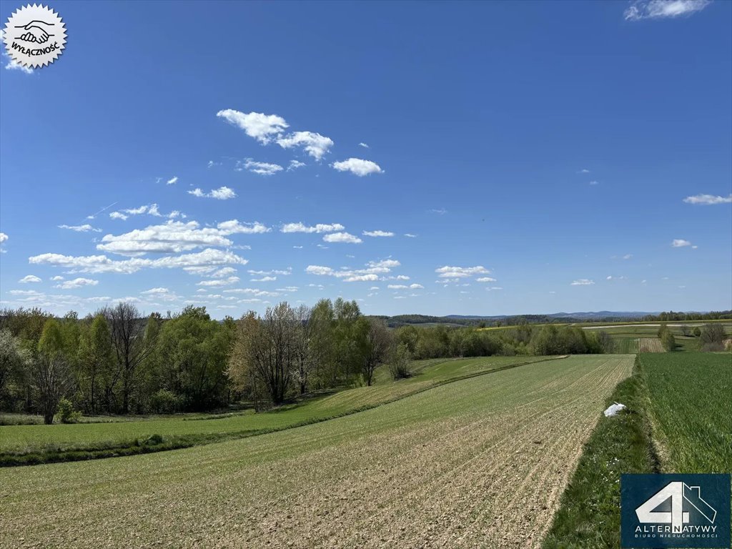 Działka 60a pod dom i uprawy, piękne widoki, asfalt Huta Nowa  6 000m2 Foto 1