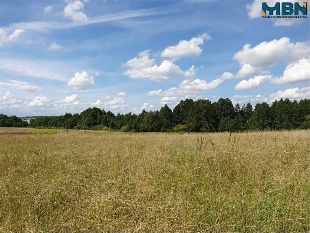 Działka rekreacyjna na sprzedaż Harsz, Harsz  4 720m2 Foto 6