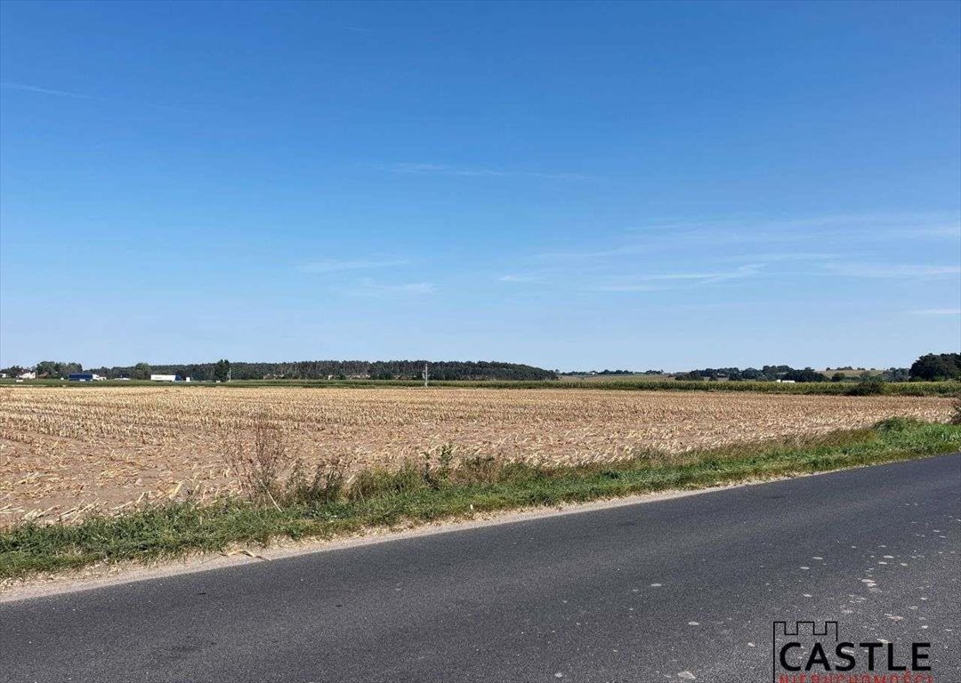 Działka budowlana na sprzedaż Gostyń  56 000m2 Foto 11