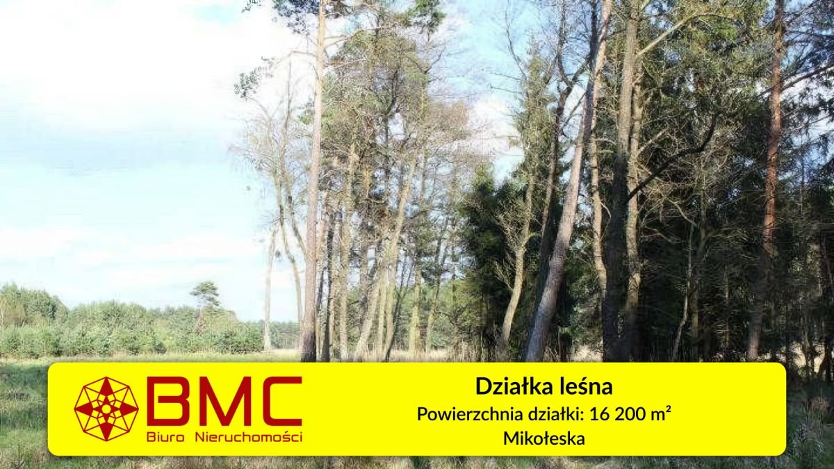 Działka leśna 16 200 m2 w Mikołesce - idealna na wypoczynek Mikołeska, Pniowiecka  16 200m2 Foto 1