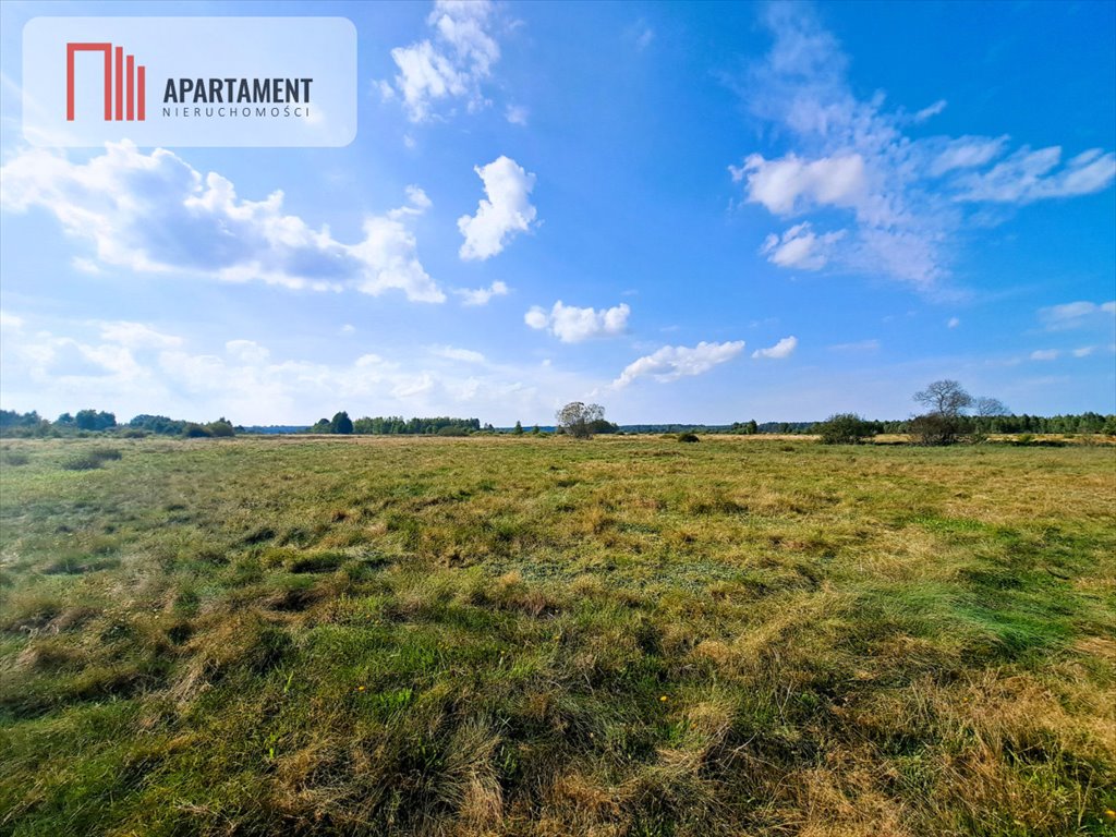 Do sprzedania działka 10 000 m² w Szczenurze blisko natury Szczenurze  10 000m2 Foto 1