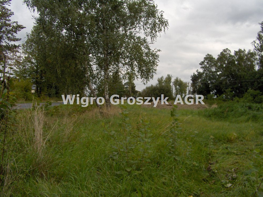 Działka rolna na sprzedaż Wawrzyszew  4 500m2 Foto 1