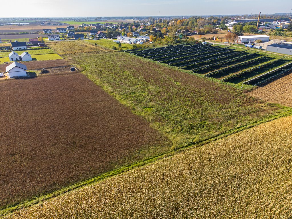 Działka budowlana na sprzedaż Nowica  877m2 Foto 1