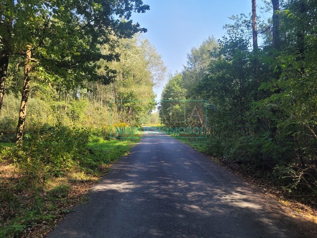 Działka budowlana na sprzedaż Radonie  1 500m2 Foto 6