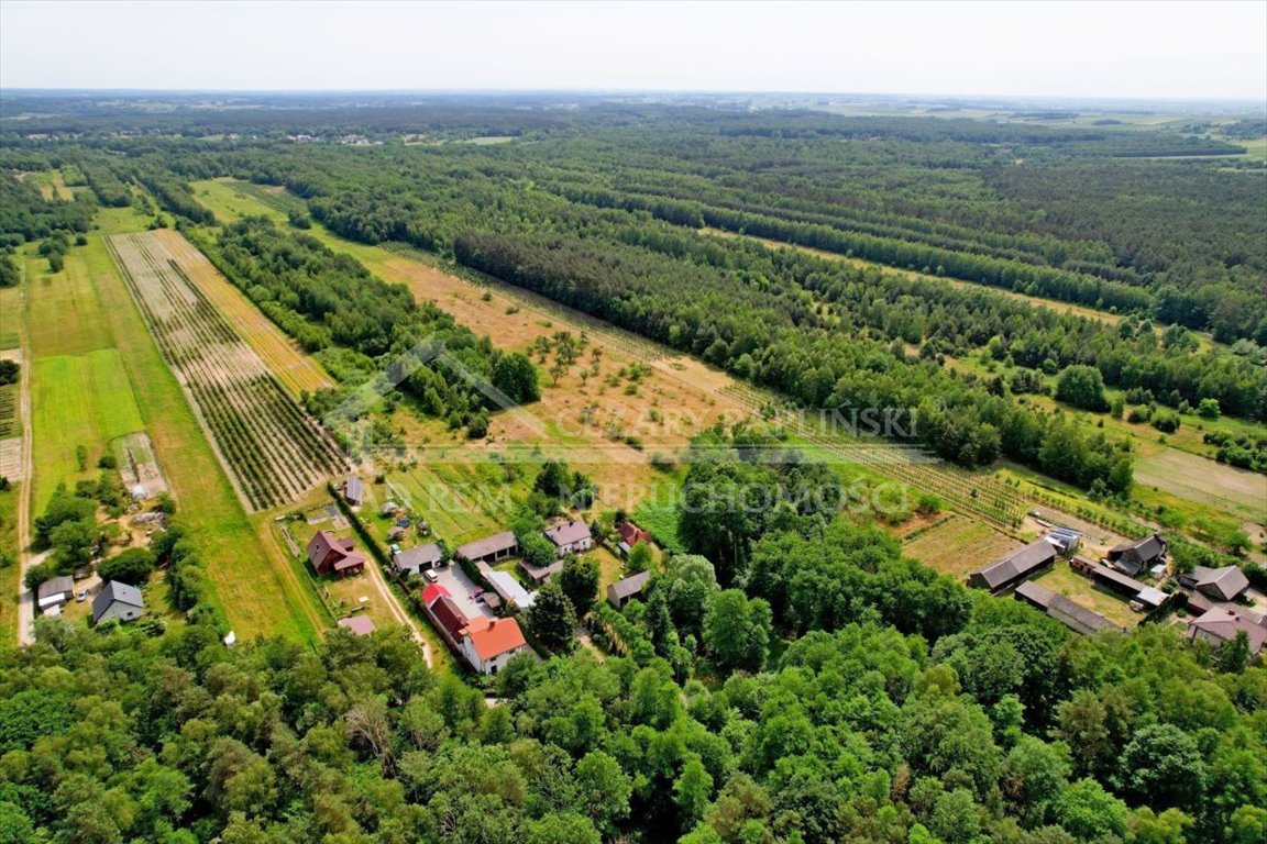 Działka leśna na sprzedaż Uściąż-Kolonia, Uściąż Kolonia  23 000m2 Foto 10