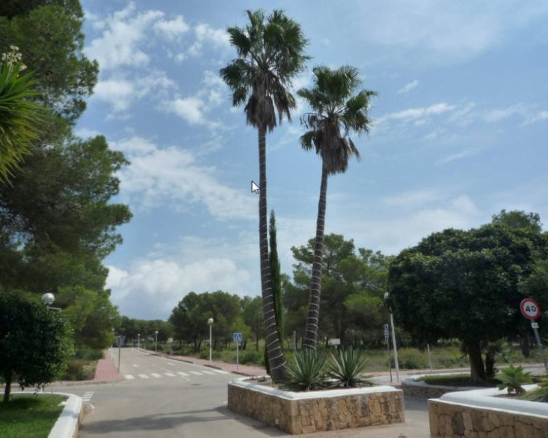 Działka budowlana na sprzedaż Hiszpania, Javea, Hiszpania, Javea  1 000m2 Foto 5