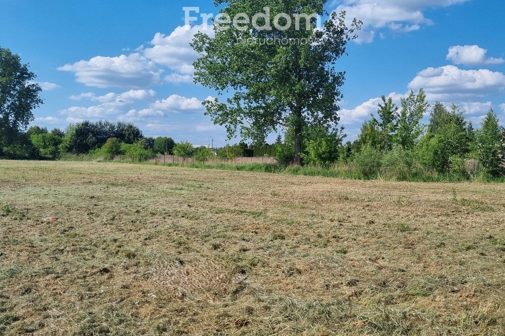 Działka budowlana na sprzedaż Kajetany, Gołębia  2 000m2 Foto 5