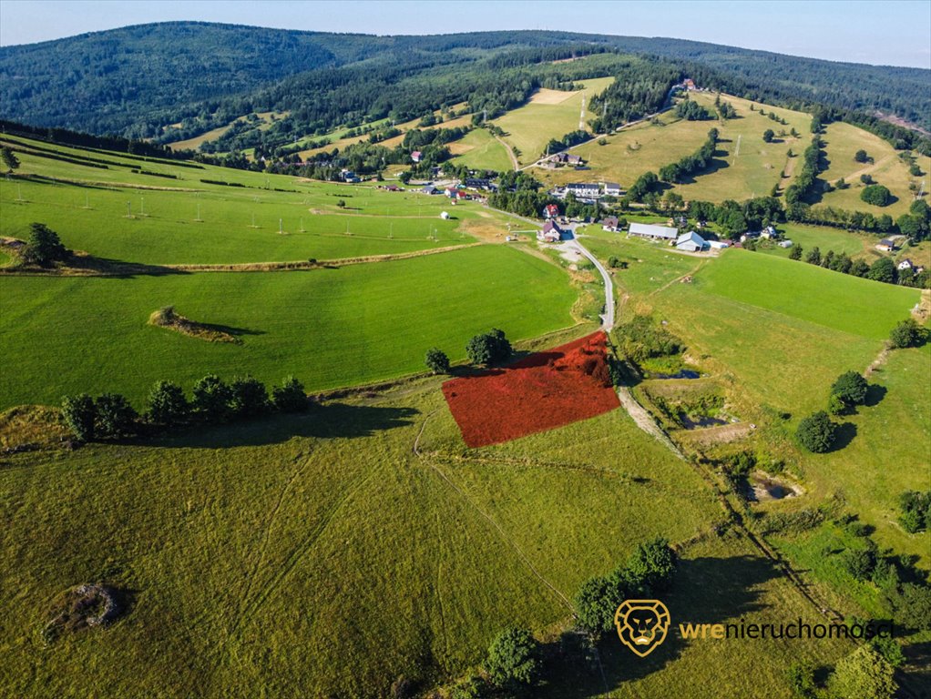 Działka inwestycyjna na sprzedaż Sokolec  3 540m2 Foto 3