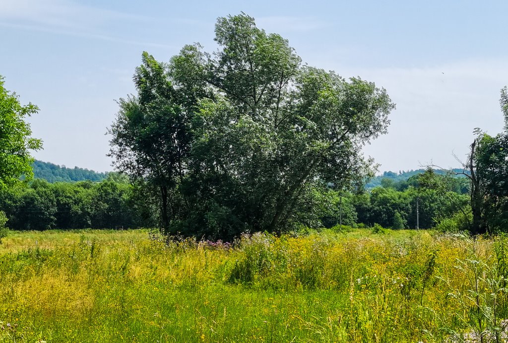 Działka budowlana na sprzedaż Bystrzyca Kłodzka  4 140m2 Foto 7