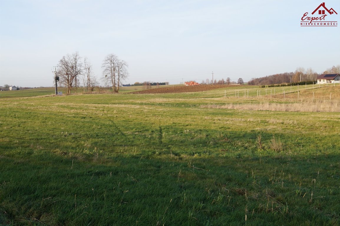 Działka budowlana na sprzedaż Stradomno  1 534m2 Foto 6