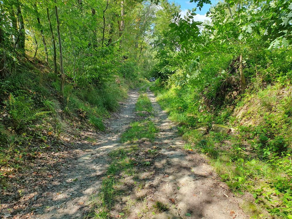 Działka budowlana na sprzedaż Tyczyn, Zagrody  1 825m2 Foto 10