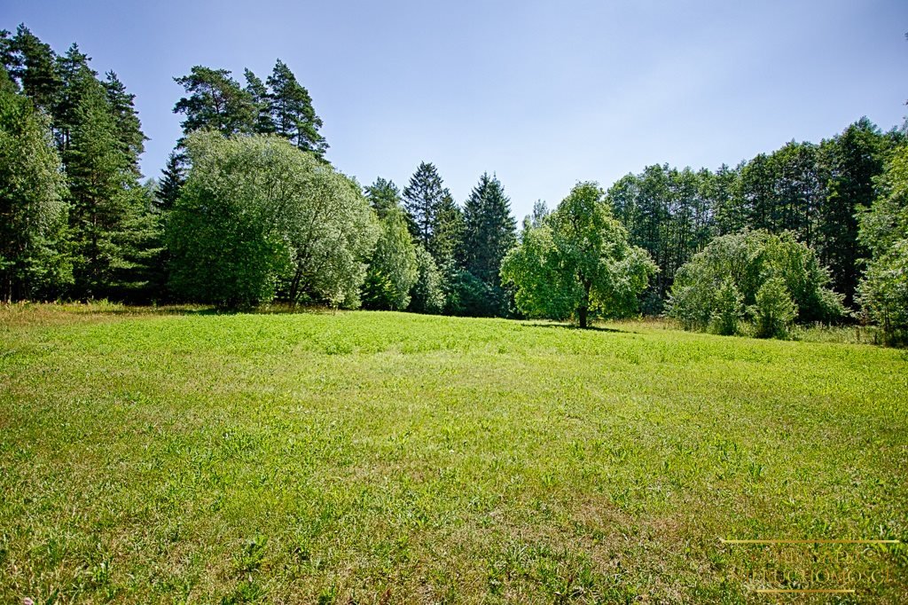 Działka rolna na sprzedaż Kuplisk, Kamienica  28 000m2 Foto 3