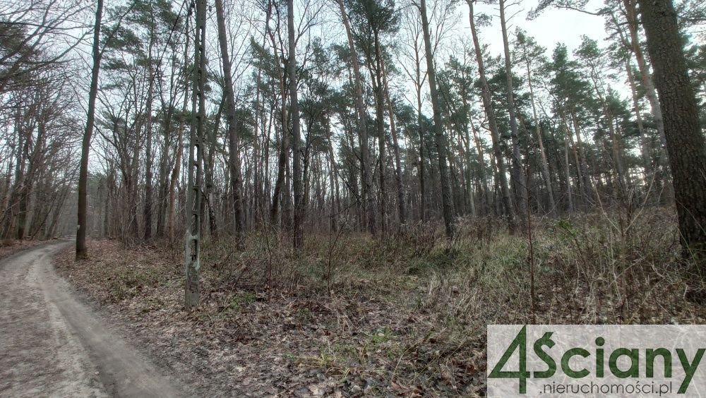 Działka leśna z prawem budowy na sprzedaż Warszawa, Wawer, Anin  2 030m2 Foto 3