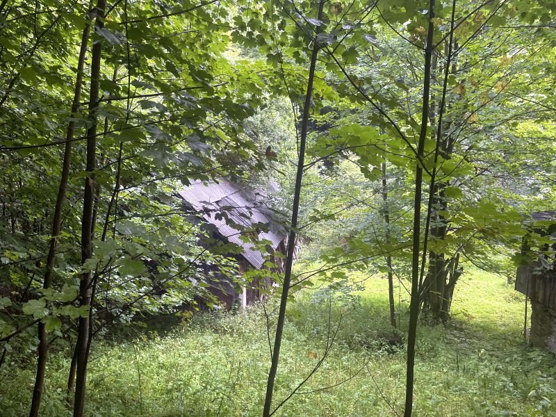 Gospodarstwo 6,5 ha z domem i stodołą, blisko wyciągu Wisła, Wisła  64 550m2 Foto 1