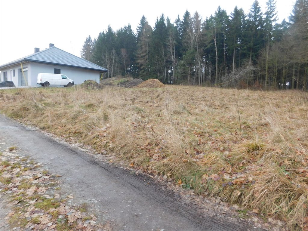 Działka budowlana z widokiem na góry, las, media Duszniki-Zdrój  1 382m2 Foto 1