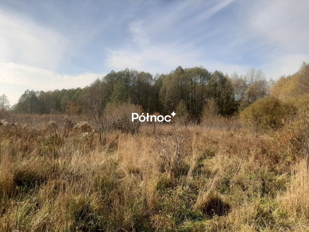 Działka rolna zadrzewiona w Ostrowie, brak drogi - polecam! Ostrów  6 806m2 Foto 1