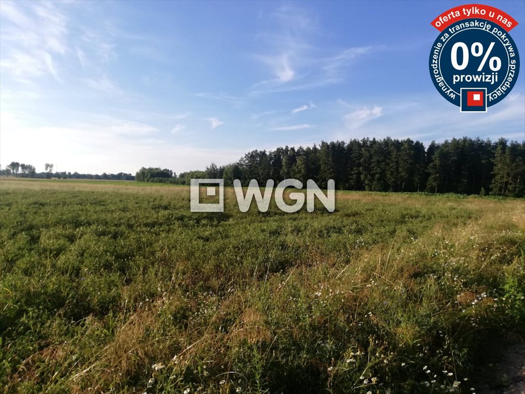 Działka rolna na sprzedaż Grabnik  28 300m2 Foto 5