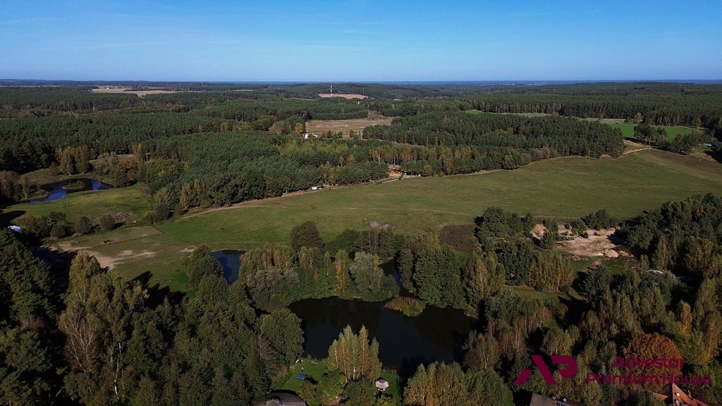 Działka budowlana na sprzedaż Łowyń, Dormowska  4 998m2 Foto 5