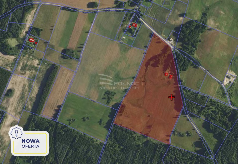 Działka siedliskowa na sprzedaż Opin  109 013m2 Foto 1