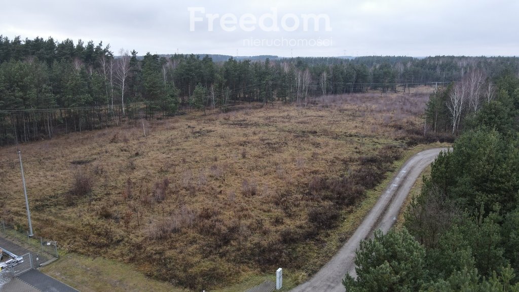 Działka komercyjna na sprzedaż Wola Paprotnia, Jana Kilińskiego  30 100m2 Foto 5