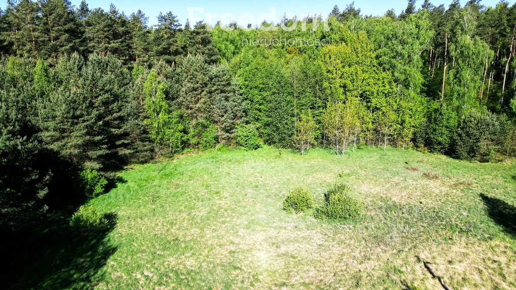 Działka budowlana na sprzedaż Wilczany  3 001m2 Foto 1
