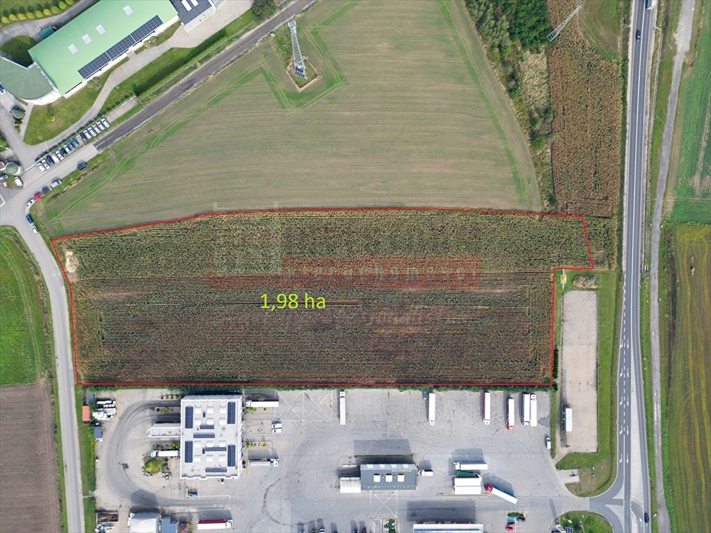 Na sprzedaż działka inwestycyjna 19 842 m² przy DK 45 i A4 Rogów Opolski  19 842m2 Foto 1