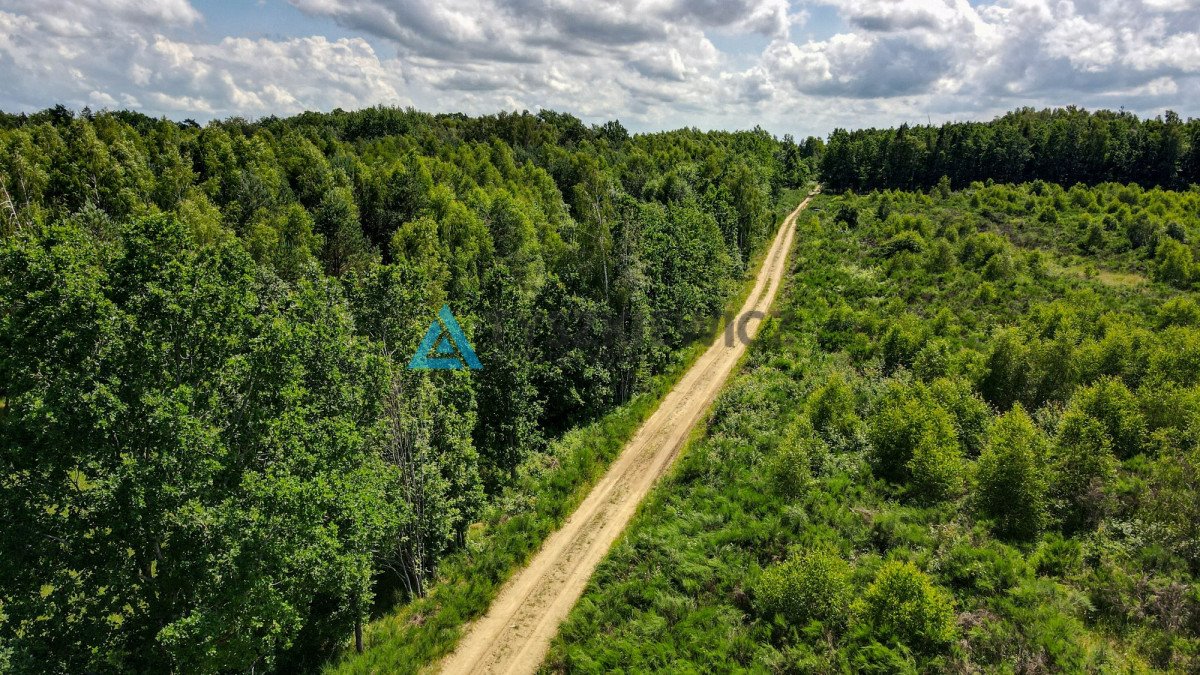 Działka budowlana na sprzedaż Salino  6 327m2 Foto 7