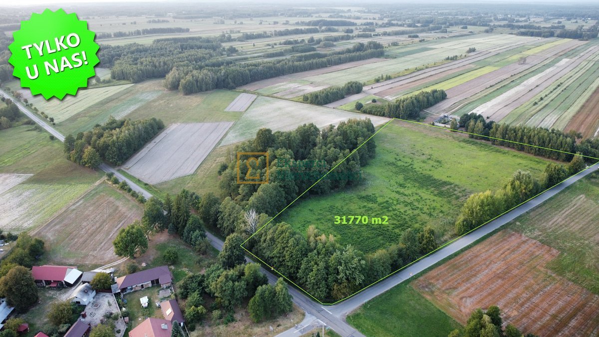 Na sprzedaż działka rolna 3,17 ha z dostępem do dróg asfaltowych Kustrawa  31 770m2 Foto 1
