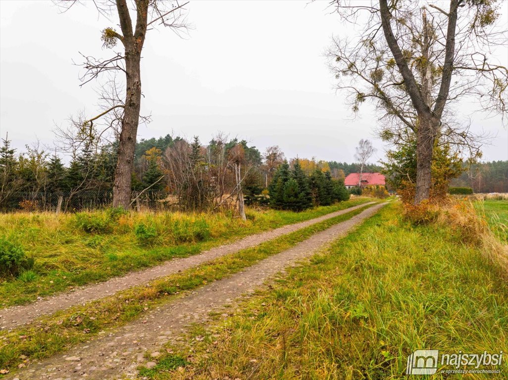 Działka budowlana na sprzedaż Węgorza, Wieś  1 557m2 Foto 4