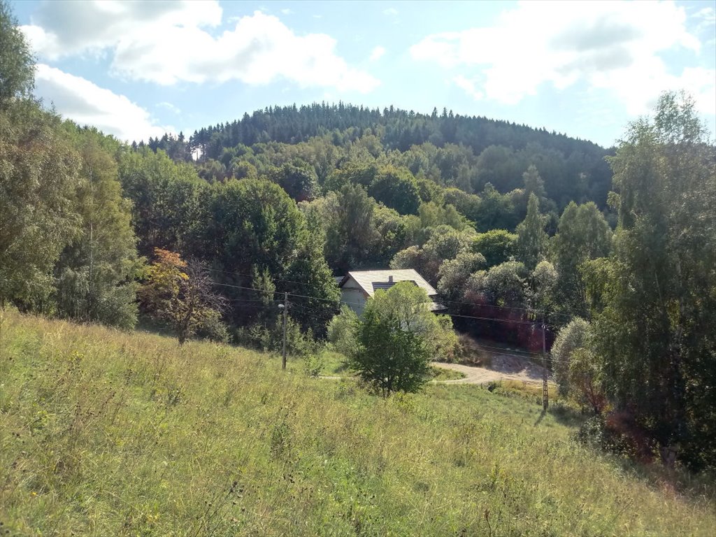 Działka budowlana na sprzedaż Duszniki-Zdrój  1 625m2 Foto 1