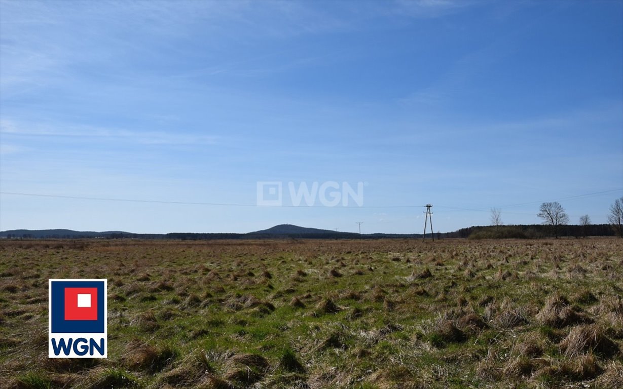 Działka budowlana na sprzedaż Smołdziński Las, Smołdziński Las  1 655m2 Foto 10