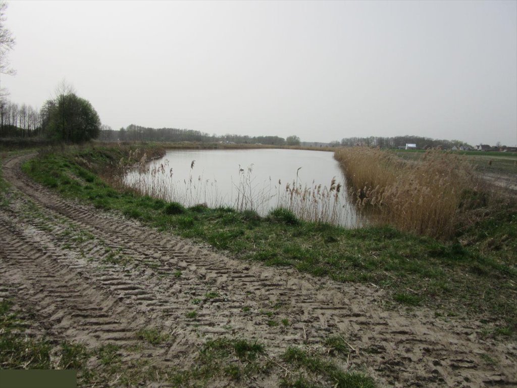 Działka inwestycyjna na sprzedaż Wziąchowo Małe  130 892m2 Foto 14