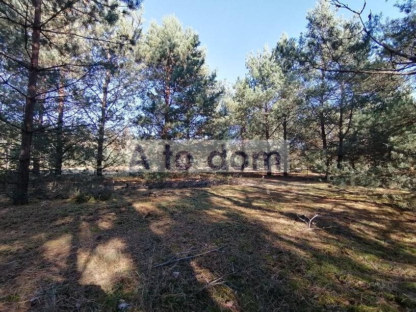 Działka 10 208 m² z możliwością zabudowy w Ruda-Czernik Ruda-Czernik  10 208m2 Foto 1