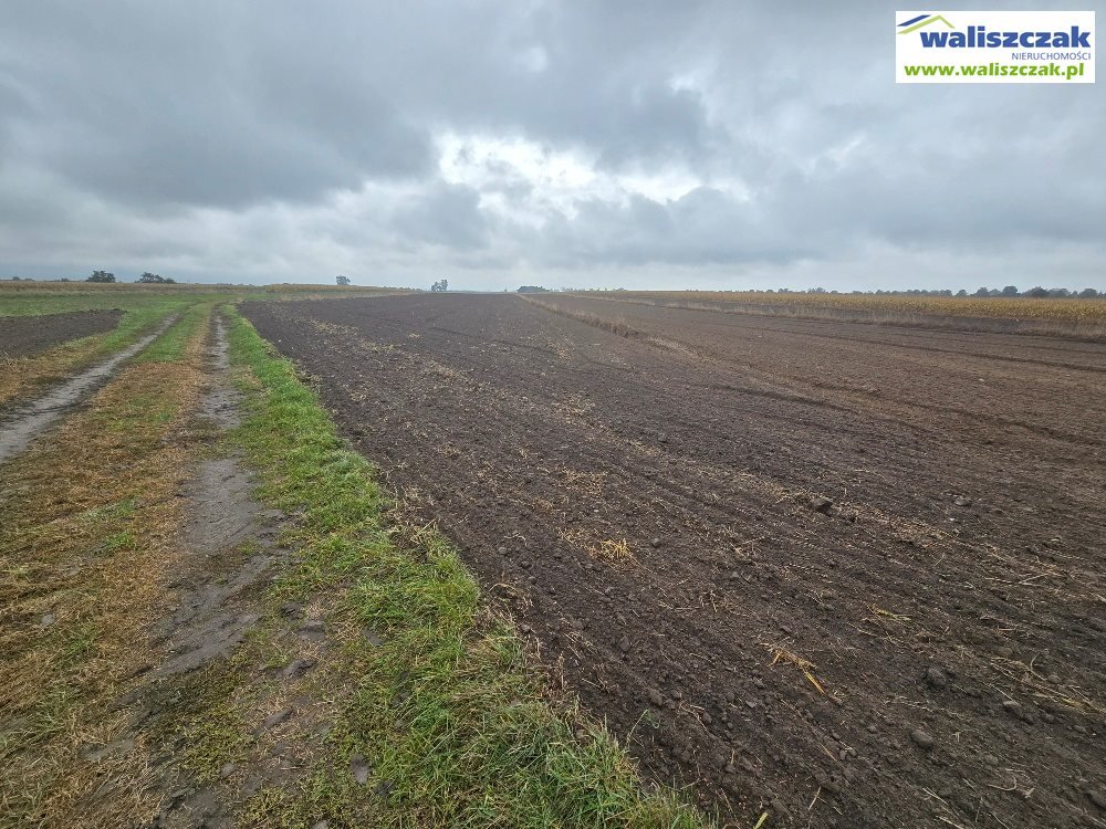 Działka inwestycyjna 3,2ha przy ul. Grabskiej w Piotrkowie Piotrków Trybunalski  32 356m2 Foto 1